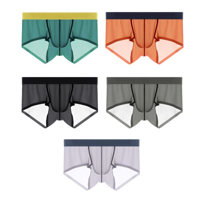 Men's Ultra Thin Ice Silk Low-Rise Underpants (5-Pack) -JEWYEE 810