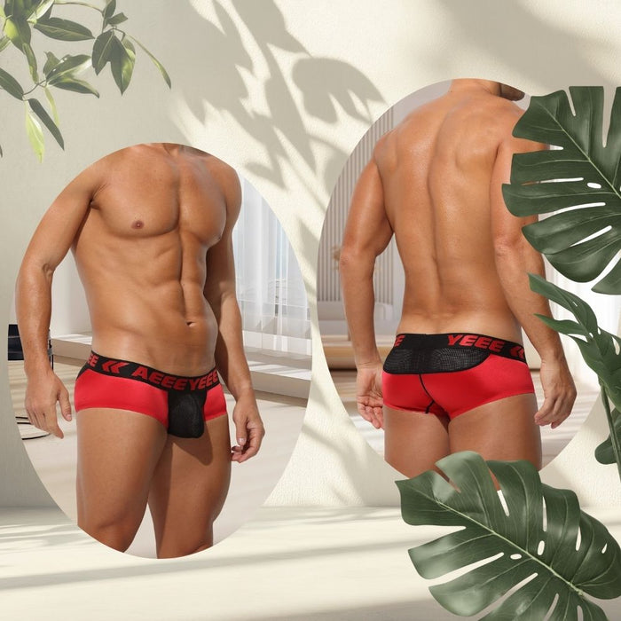 3-Pack Men's Low-Rise Satin Ice Silk Trunks - Mesh Pouch and Back Panel - JEWYEE 743