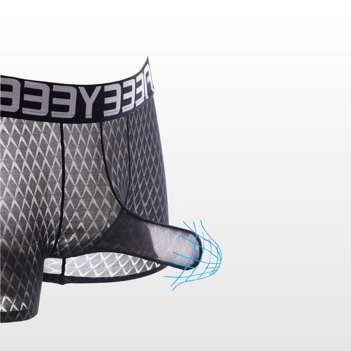 4-Pack Elephant's Trunk Ultra-thin Ice Silk Textured Mesh Underpants for Men - JEWYEE AY 2003