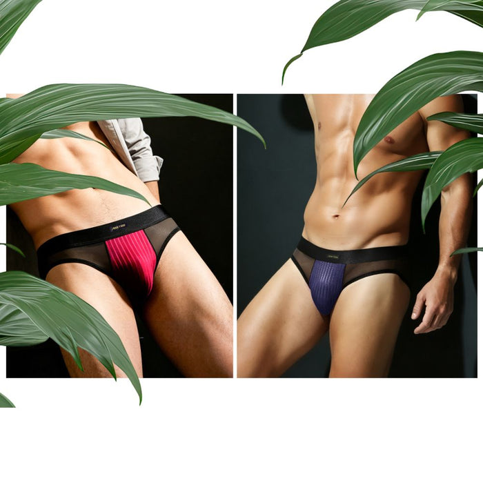 JEWYEE AY 781 - 4-Pack Men's Ultra-Thin Sheer Mesh Briefs with Elastic Striped Comfort Crotch