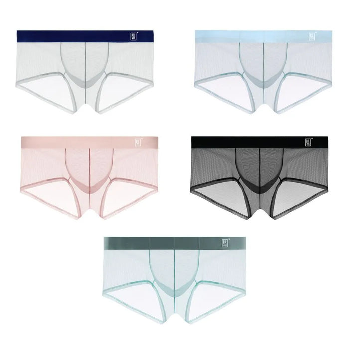 Men's See-through Dual Pouch Low-Rise Mesh Underpants Up to Size XXL  (5-Pack) -JEWYEE 1970 —