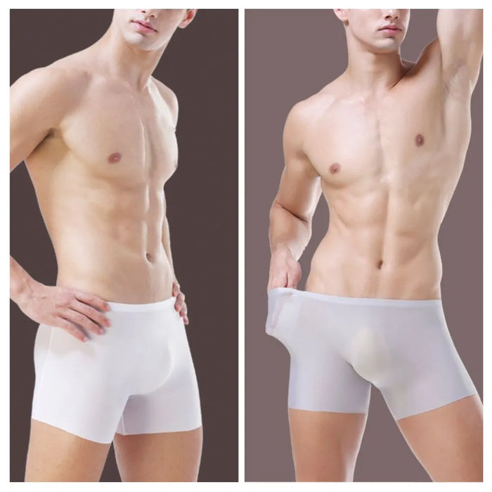 3D SEAMLESS POUCH - Men's Ultra Thin Ice Silk Underpants (5-Pack) -JEWYEE 8052