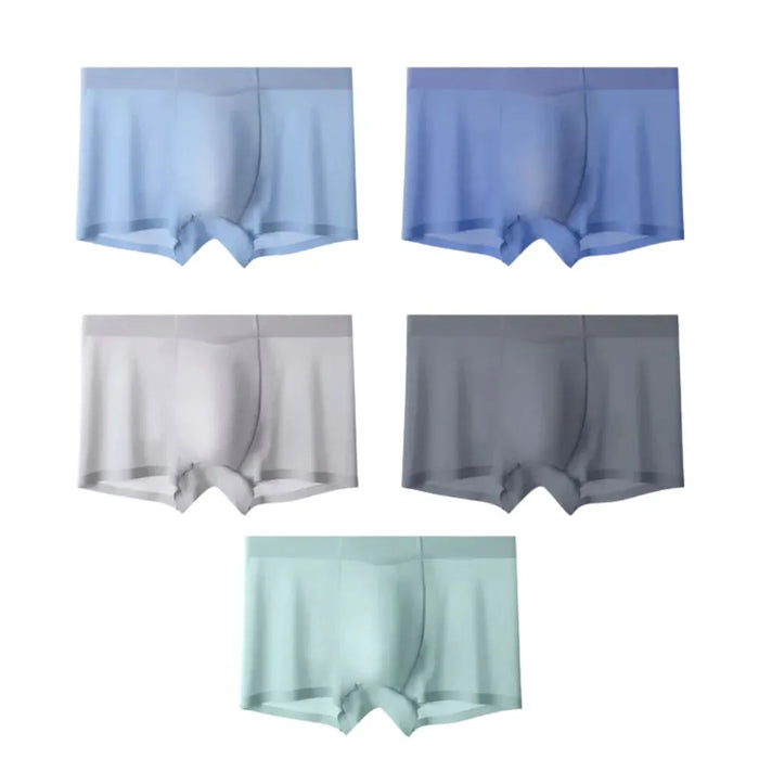 Men's Ultra Thin Ice Silk Underpants (5-Pack) - JEWYEE 9008