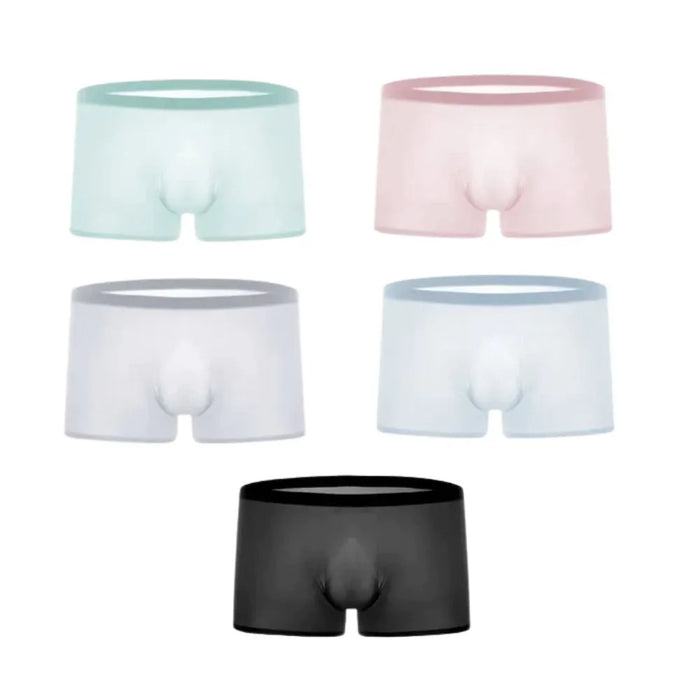 3D Seamless Pouch - Ultra Thin Ice Silk Trunks for Men Up To Size XXL(5-Pack) JEWYEE 1930