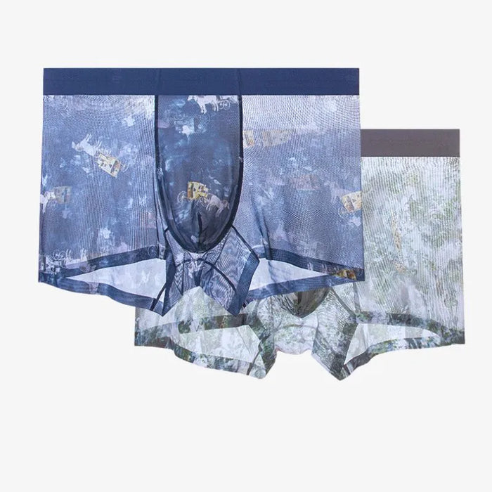 Men's Printed Ice Silk Mesh Underpants (5-Pack) - JEWYEE - ZJ030