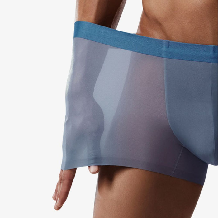Ultra Thin Ice Silk Underpants for Men (6-Pack)  JEWYEE 1118