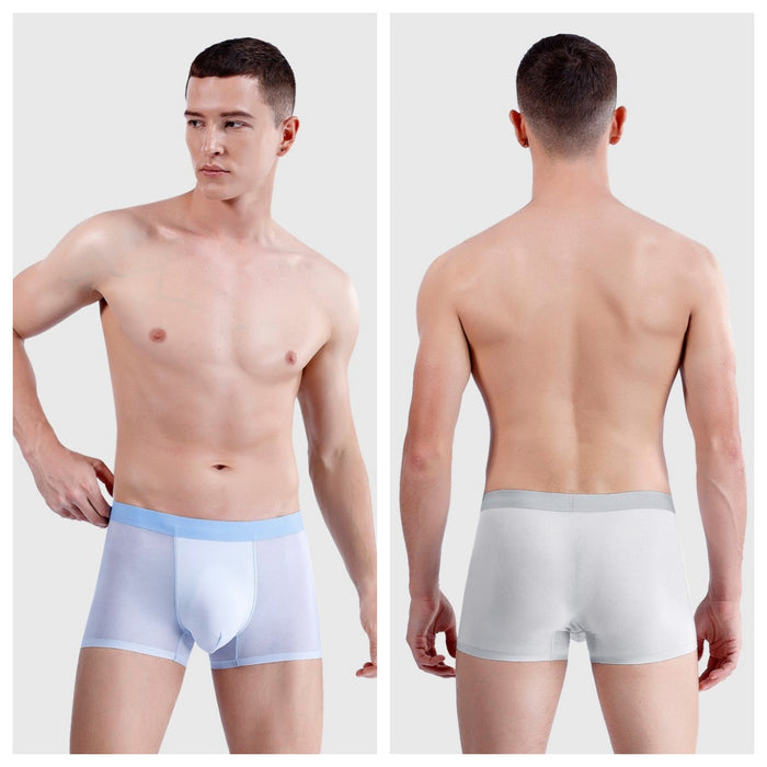 Ultra Thin Ice Silk Mesh Underpants for Men (4-Pack) JEWYEE 1176