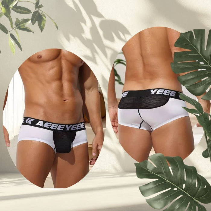 3-Pack Men's Low-Rise Satin Ice Silk Trunks - Mesh Pouch and Back Panel - JEWYEE 743