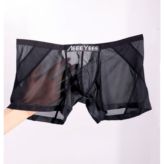 2-Pack Men’s Ultra-Sheer Ice Silk Boxer Briefs with Mesh Panel & Back Cutout - JEWYEE 716
