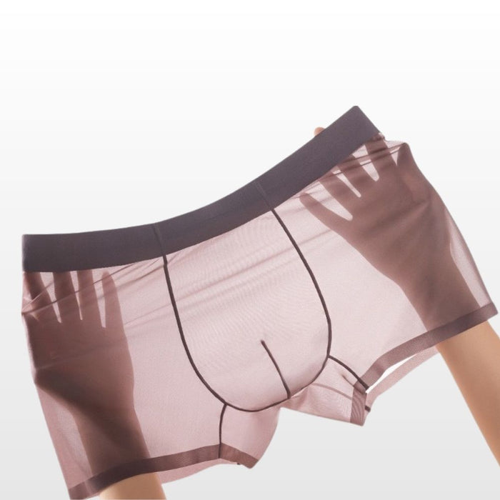 4-Pack Men's See-throug Ultra Thin Ice Silk Underpants - JEWYEE 8006