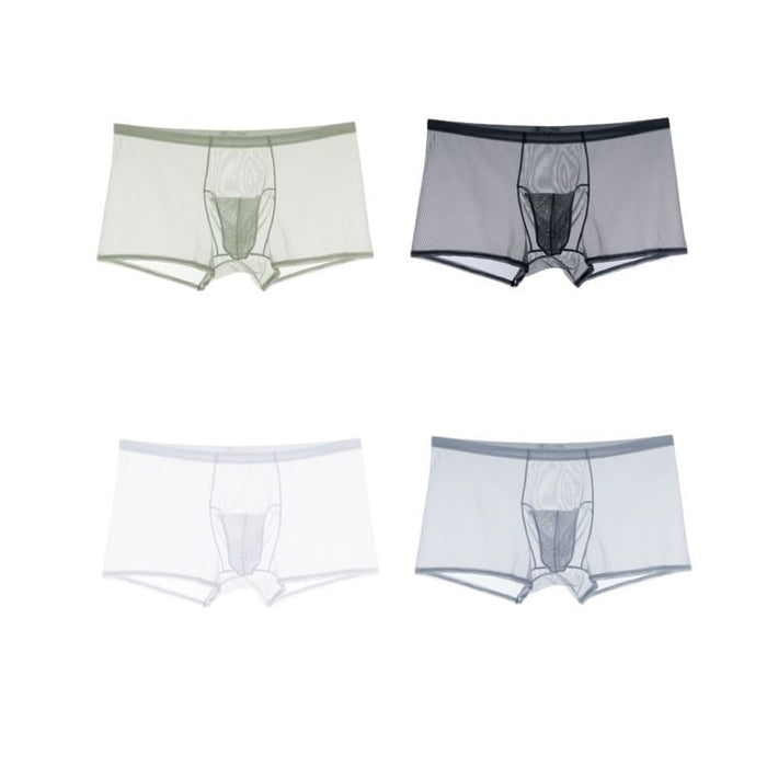 Elephant's Trunk  See-Through Underpants for Men (4-Pack) JEWYEE 1950