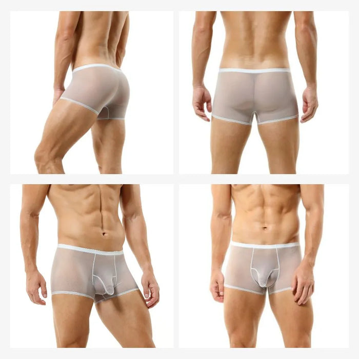 Elephant's Trunk See-Through ice-silk Underpants for Men