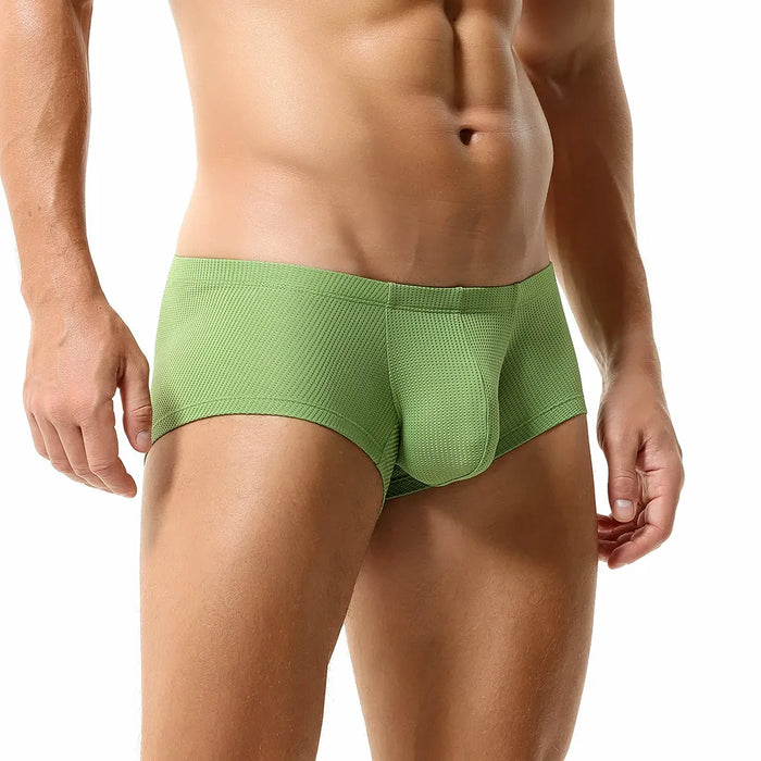 Men's See-through Dual Pouch Low-Rise Mesh Underpants Up to Size XXL  (5-Pack) -JEWYEE 1970 —