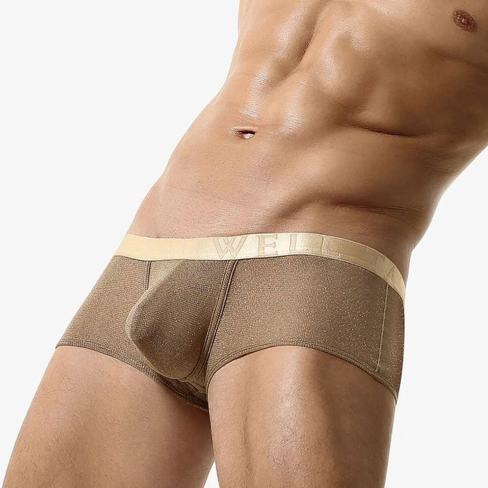 Men's  Low-Rise Underpants with golden thread (3-Pack) - JEWYEE 23203