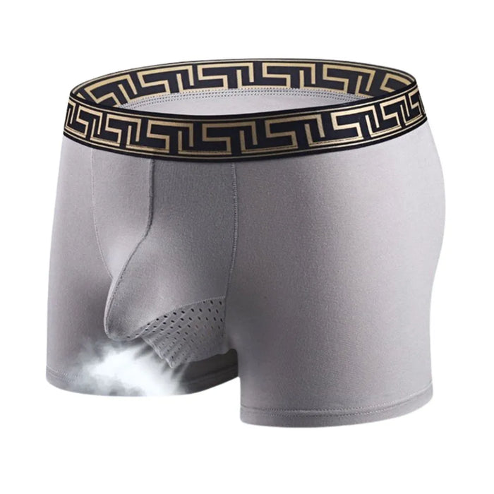 Dual Pouch - Men's Patterned Waistband Modal Underwear (3-Pack) JEWYEE 8002B