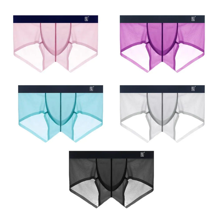 Women Transparent Mesh Panties See Through Ice Silk Briefs