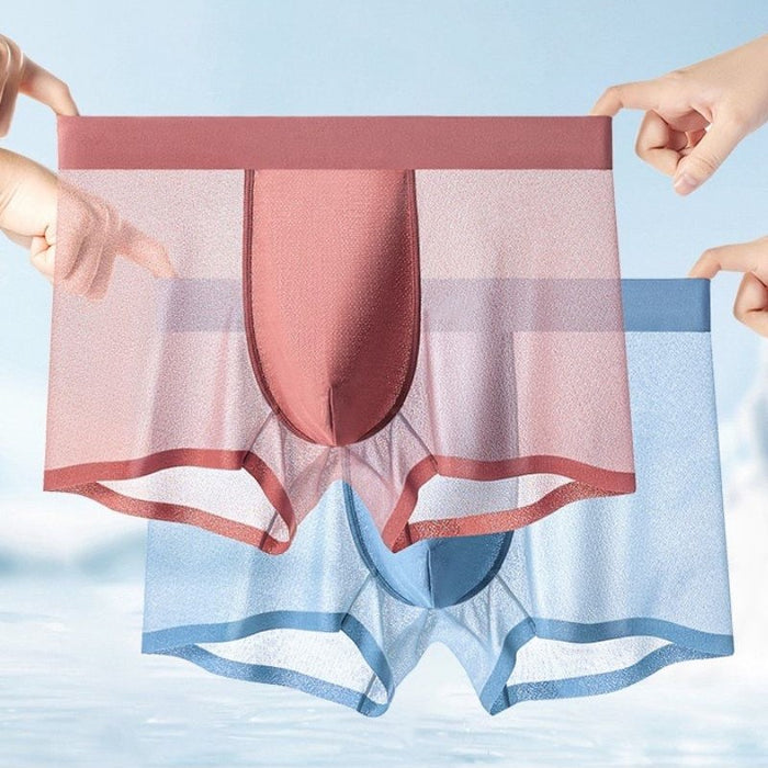 Men's Ultra Thin Ice Silk Mesh Underpants (5 Pack) JEWYEE 1226