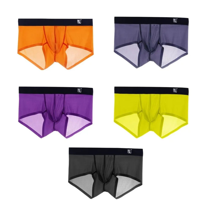 Men's Ultra Thin Ribbed Ice Silk Low-Rise Underpants (5-Pack) -JEWYEE 804