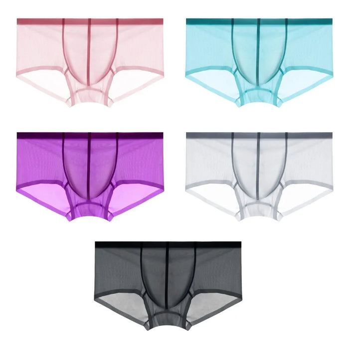 Men's See-through Low-Rise Ultra Thin Ice Silk Underpants (5-Pack ...