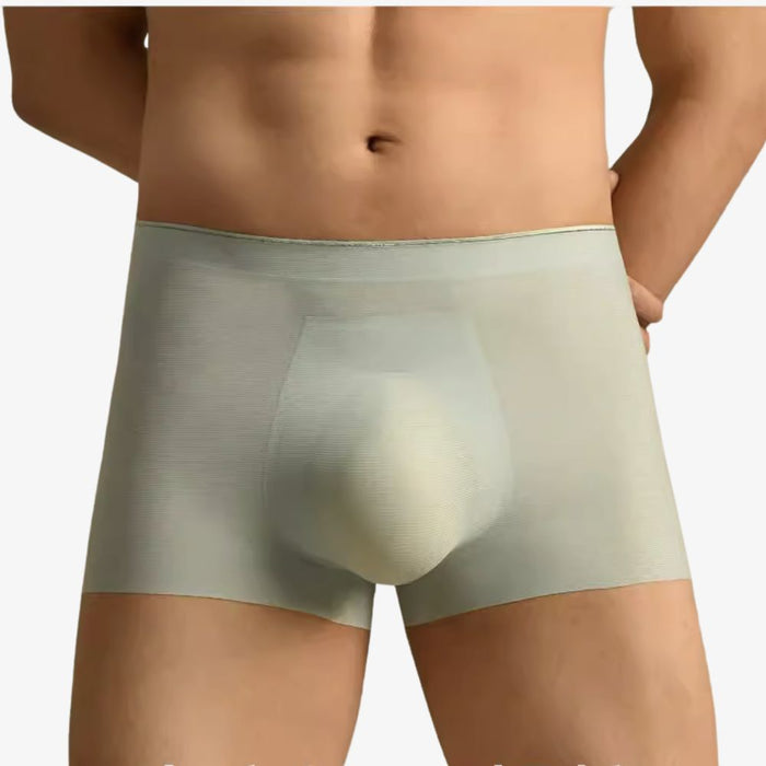 3D SEAMLESS POUCH - Men's Ultra Thin Ribbed Ice Silk Underpants (5-Pack) -JEWYEE 8114