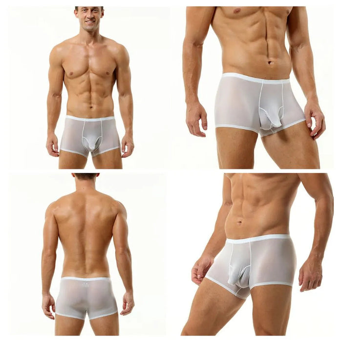 Elephant's Trunk Super Thin Ice Silk Underpants for Men (4-Pack) JEWYEE 1942